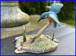 BORDER FINE ARTS KINGFISHER FIGURINE MODEL No. RB10 by Ray Ayres