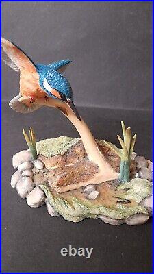 BORDER FINE ARTS KINGFISHER FIGURINE MODEL No. RB10 by Ray Ayres X1