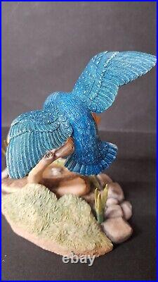 BORDER FINE ARTS KINGFISHER FIGURINE MODEL No. RB10 by Ray Ayres X1