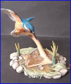 BORDER FINE ARTS KINGFISHER FIGURINE MODEL No. RB10 by Ray Ayres X1