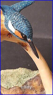 BORDER FINE ARTS KINGFISHER FIGURINE MODEL No. RB10 by Ray Ayres X1