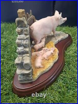 BORDER FINE ARTS, LAST TO FINISH, SOW + Piglets, 1996, Rare