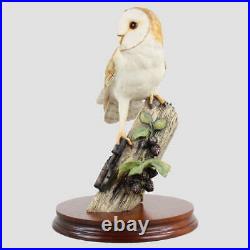 Barn Owl With Blackberries Border Fine Arts