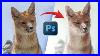 Best_Tricks_To_Create_Fine_Art_In_Photoshop_01_drk