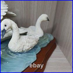 Border Fine Arts A0190 Graceful Swans By Russell Willis Rare Collectible