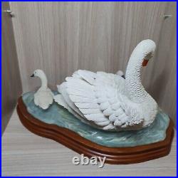 Border Fine Arts A0190 Graceful Swans By Russell Willis Rare Collectible