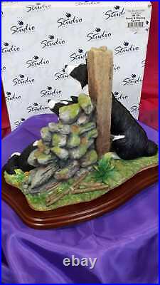 Border Fine Arts A6129 Ready and Waiting Border Collies