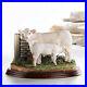 Border_Fine_Arts_A9631_Charolais_Cow_Calf_01_rkjd