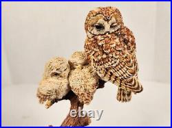 Border Fine Arts'A Watchful Eye' Model No SOC8 Female Tawny Owl And Owlets