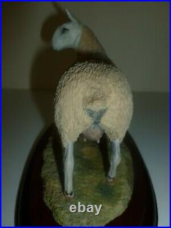Border Fine Arts BLUE FACED LEICESTER EWE & LAMBS L31