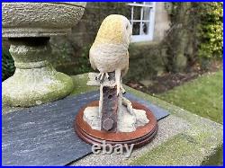 Border Fine Arts Barn Owl Figurine'On the lookout' BO276 1997 by David Walton