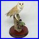 Border_Fine_Arts_Barn_Owl_RB15_Sculpture_by_Ray_Ayres_1989_HAND_MADE_IN_SCOTLAND_01_ie