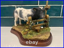 Border Fine Arts'Belgian Blue Bull', model No. A8953 FARMING TODAY COLLECTION