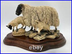 Border Fine Arts Black-Faced Ewe & Lambs No L25 by M Laing Ltd Edition 585/750