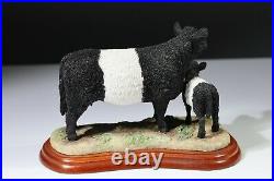 Border Fine Arts Cattle breeds Galloway Cow and Calf (belted) 2003 A2693