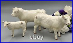 Border Fine Arts Charolais Bull 4958 Cow 4599 and Calf 4602 Set