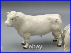 Border Fine Arts Charolais Bull 4958 Cow 4599 and Calf 4602 Set