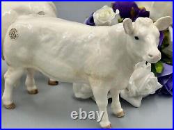 Border Fine Arts Charolais Bull 4958 Cow 4599 and Calf 4602 Set