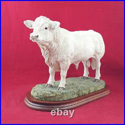 Border Fine Arts Charolais Bull On Wooden Plinth A9789 (with CoA) BFA 3304