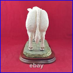 Border Fine Arts Charolais Bull On Wooden Plinth A9789 (with CoA) BFA 3304