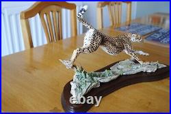 Border Fine Arts Cheetah L132