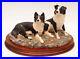 Border_Fine_Arts_Eager_to_Learn_Collie_Dogs_Figurine_BO589_Signed_M_Turner_2000_01_yuga