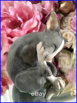 Border Fine Arts Enesco sphynx Siamese cat Ornament Grey Cat Grooming Itself