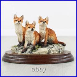 Border Fine Arts First Time Out Fox Cubs Model