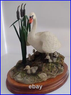 Border Fine Arts, First one in, Swan family B0189,1997
