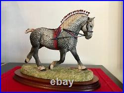 Border Fine Arts Horse PERCHERON Supreme Champion. Rare superb