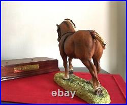 Border Fine Arts Horse rare Gold Edition SUFFOLK PUNCH STALLION superb