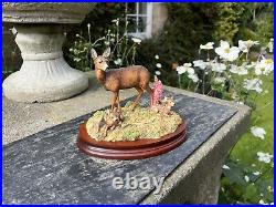 Border Fine Arts In A Sunny Glade BO255 Red Hind Deer & Fawns 1998 by R Ayres