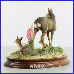 Border Fine Arts In A Sunny Glade Red Hind and Fawn Model