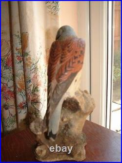 Border Fine Arts Kestrel And Mouse