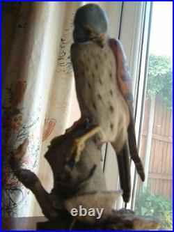 Border Fine Arts Kestrel And Mouse