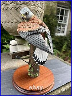 Border Fine Arts'Kestrel', No. B0869 by Richard Roberts, 45/350