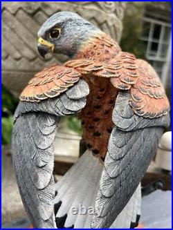 Border Fine Arts'Kestrel', No. B0869 by Richard Roberts, 45/350