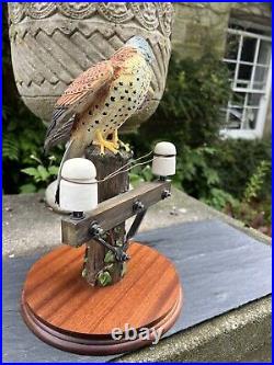 Border Fine Arts'Kestrel', No. B0869 by Richard Roberts, 45/350