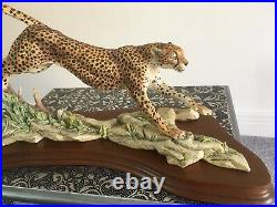 Border Fine Arts L132 Cheetah, Limited Edition