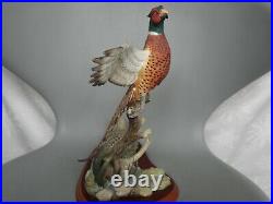 Border Fine Arts Large Bird Pheasant Rising Game Birds A1392