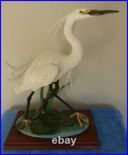 Border Fine Arts Little Egret Limited Edition