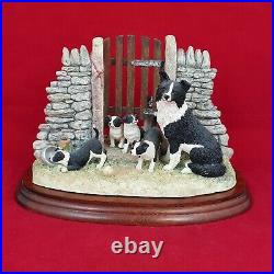 Border Fine Arts Mother's Pride B0806 Boxed Collie Dogs 5463 BFA