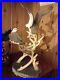 Border_Fine_Arts_Osprey_Statue_LARGE_Fresh_From_The_Spey_LIMITED_EDITION_B1272_01_gm