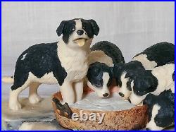 Border Fine Arts Pick of the Litter Model No. JH30 Rare Figurine by Ray Ayres Vgc