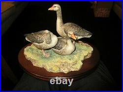 Border Fine Arts Porcelain Figurine, Greylag Geese, by Ray Ayres, Ltd Edition VGC