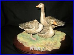 Border Fine Arts Porcelain Figurine, Greylag Geese, by Ray Ayres, Ltd Edition VGC