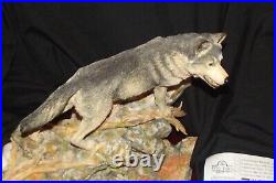 Border Fine Arts STW07 Pack Leader Wolf (large Size) Modeller Richard and papers