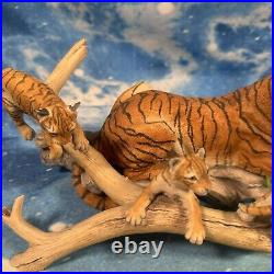 Border Fine Arts Scotland Bengal Tigress & Cubs Ltd Edition 750 by R. T Roberts