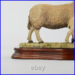 Border Fine Arts, Sheep, North Cheviot Ewe Scotch Halfbred Lambs, L147