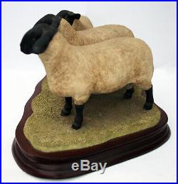 Border Fine Arts Sheep Suffolk Family Group B0197 Ray Ayres Limited Edition